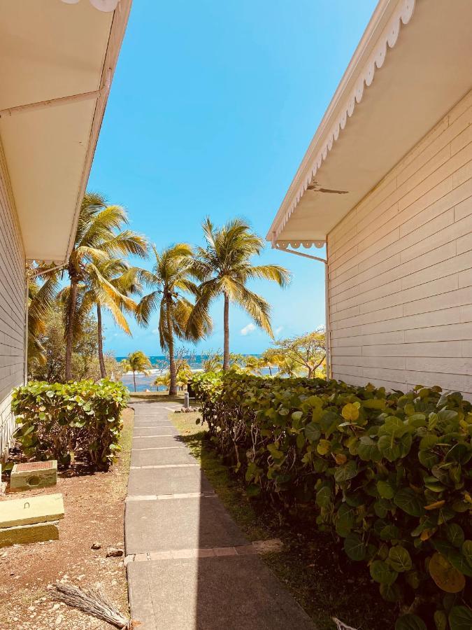 Tucum Home - Appart Au Village Vacances Sainte Anne 외부 사진